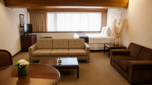 Suite Junior  King - Imagen 4