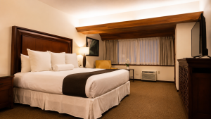 Suite Presidencial