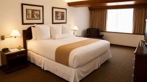 Suite Senior - Image 4