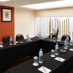Salón Pardo
