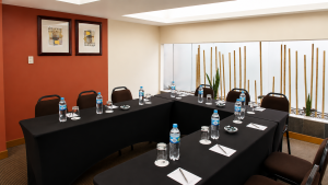 Salón Pardo